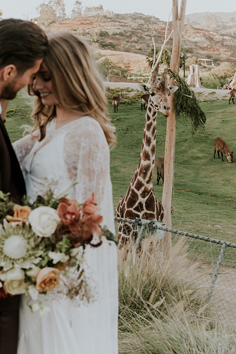 San diego outdoor wedding shoot at the san diego zoo and safari park bride white chiffon gown with lace sleeves and thin straps with plunging neckline and groom burgundy shawl lapel tuxedo with white dress shirt and long black skinny tie and black shoes standing and hugging with giraffe in background bride holding white and orange floral bridal bouquet
