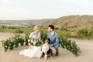 Temecula outdoor wedding at sweet oaks ranch bride a line chiffon gown with short lace sleeves and a low back design with high neckline and lace detail with groom light blue notch lapel suit with a white dress shirt and long silver tie with a white floral boutonniere with dog bride holding white and green floral bridal bouquet